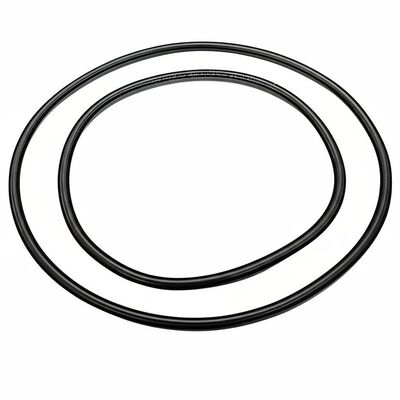 HNBR Heat Resistant Up To 140°C High Corrosion Resistance Solid Core Sealing Strip Heat Exchanger Gasket PHE Gasket